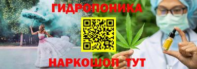 эйфоретик Гусь-Хрустальный